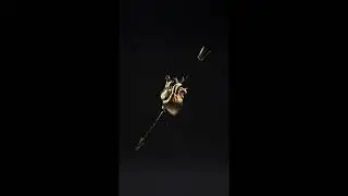 Free Short 1 Minute Trap Type Beat 