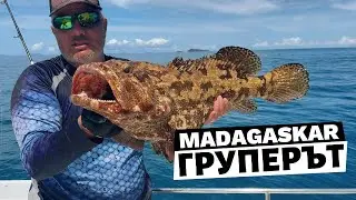 ГОРЕЩИЯТ ден на ГРУПЕРА  / Приключението Мадагаскар - Денят на дорадото - 4 част