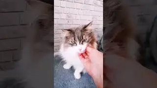 1 марта 