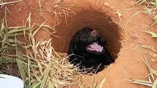 The baby cried and called for help from the pit, but no one heard him!