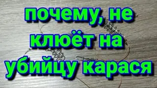 Ошибки при ловле на снасть убийца карася.