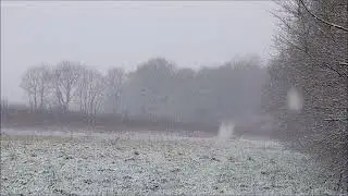 Snow Falling HEAVILY