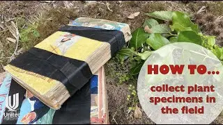 HOW TO... collect plant specimens in the field