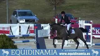 Gran Premio Concurso Hípico de Salto de Obstáculos Nacional** celebrado en el RACE 28.1.18