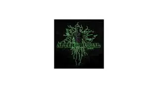 After the Burial - Berzerker (ISOLATED DRUMS)