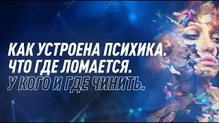 Как устроена психика | NovaMind