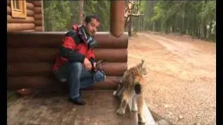 Животные Моей Планеты