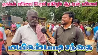 Mayilambadi Goat Market  | veejayLifestyle #goatfarming