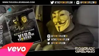 Bulova ft Tivi Gunz - Vida De Tiguere