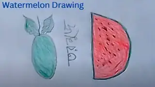 How to draw watermelon step by step || Simple Pencil Drawing