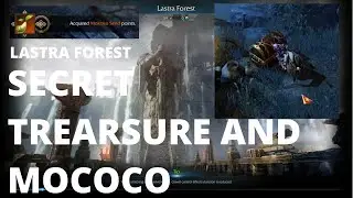 LOST ARK | Lastra Forest SECRET TREASURE - Mococo (Mokoko) Seeds