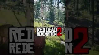 🐻 ЭТО МЕСТО ЗНАЮТ 0.001% ЛЮДЕЙ В РДР 2