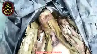 Обращение к здравомыслию ещё не до конца оболваненных укров