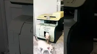 Ye kya ho bhai | ye kya ho raha h 