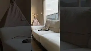 История основана на реальной истории ☝️
