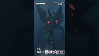 SLAYING THE BEAST