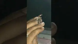 Snake In Hand | Saap Ko Hath Me  Liya