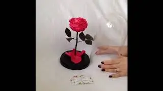 Живая Роза в колбе