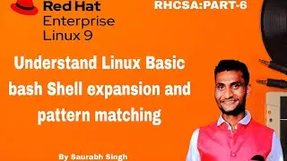 Understanding linux basic bash shell expansions and pattern matching