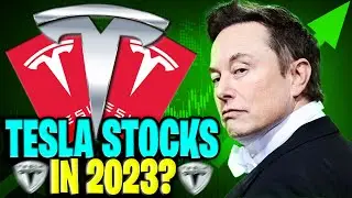 TESLA Stock 2023: Should You Buy Tesla Stock? | TSLA