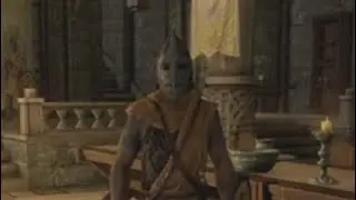 The Mean Guard (Skyrim)