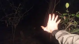 viral Video Syur 46 detik seperti yang dibogor