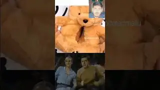 Animal memes new trend