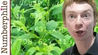 Primes are like Weeds (PNT) - Numberphile
