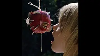 Puce Mary – The Drought (Full Album) [PAN]