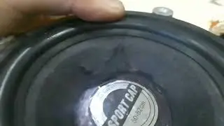 порвал САБ