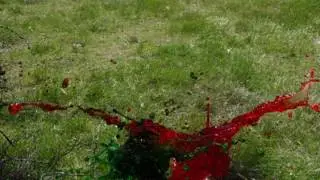 Dünyayı Birde Bu Hızda İzleyin (Ağır Çekimler) Slow Motion C0005 2016 UPSS Slow Motion