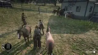 We're Very Good With Horses Here