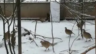 Драка!