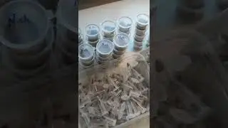 Небольшая посылочка с пауками птицеедами  #tarantula #животные #подпишись