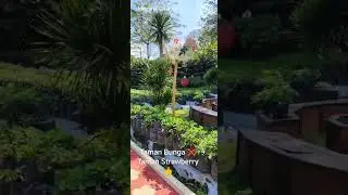 Kebun Yang Indah Untuk Dikunjungi #shortsvideo #maximachannel #wisata #videoyoutube #Tamanstrawberry