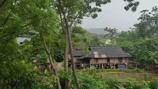 8 Minute Stress Relief with Calming Rain Sounds