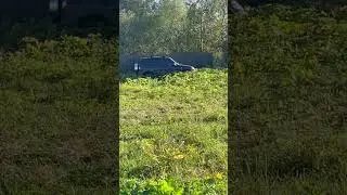 🤣🤣🤣че делает))) #стройка