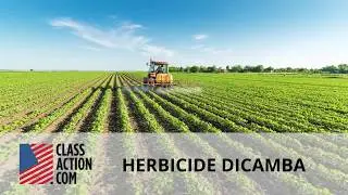 Seeking Justice After Dicamba Damaged Your Crops?