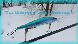 FishComm Shop. Kosadaka Shinner XS 115SP. Ты Шиннер или Шайнер?