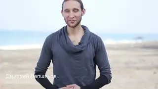 Отзыв Дмитрия Лапшинова об Ара и Анне Аруш
