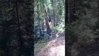 Hiking.  Pillars.