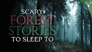 16 True Woods Horror Stories to Fall Asleep To