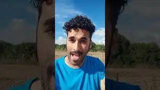 Chiste del día: 