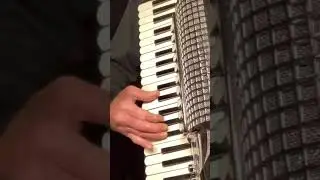 Il cielo in una stanza, à la #GinoPaoli   #italia #accordion #fisarmonica  #italianculture