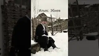 Ильяс Эбиев-Воккхачу стеган илли NEW2024