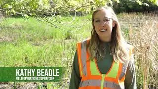 Field Day - Follow Along with an MMCD Mosquito Field Operations Supervisor