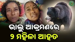 ଭାଲୁ ଆକ୍ରମଣରେ କୋଟ୍ରିବାହାଲ ଗାଁର ୨ ଜଣ ମହିଳା ଆହତ | Odisha Sanket