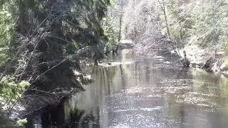 ПО БЕРЕГУ РЕКИ РОЩИНКА ( РАЙВАЛАНЙОКИ )