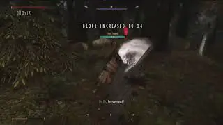 Skyrim - Sekiro Combat - MODDED