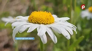 Время новостей 2023.06.26